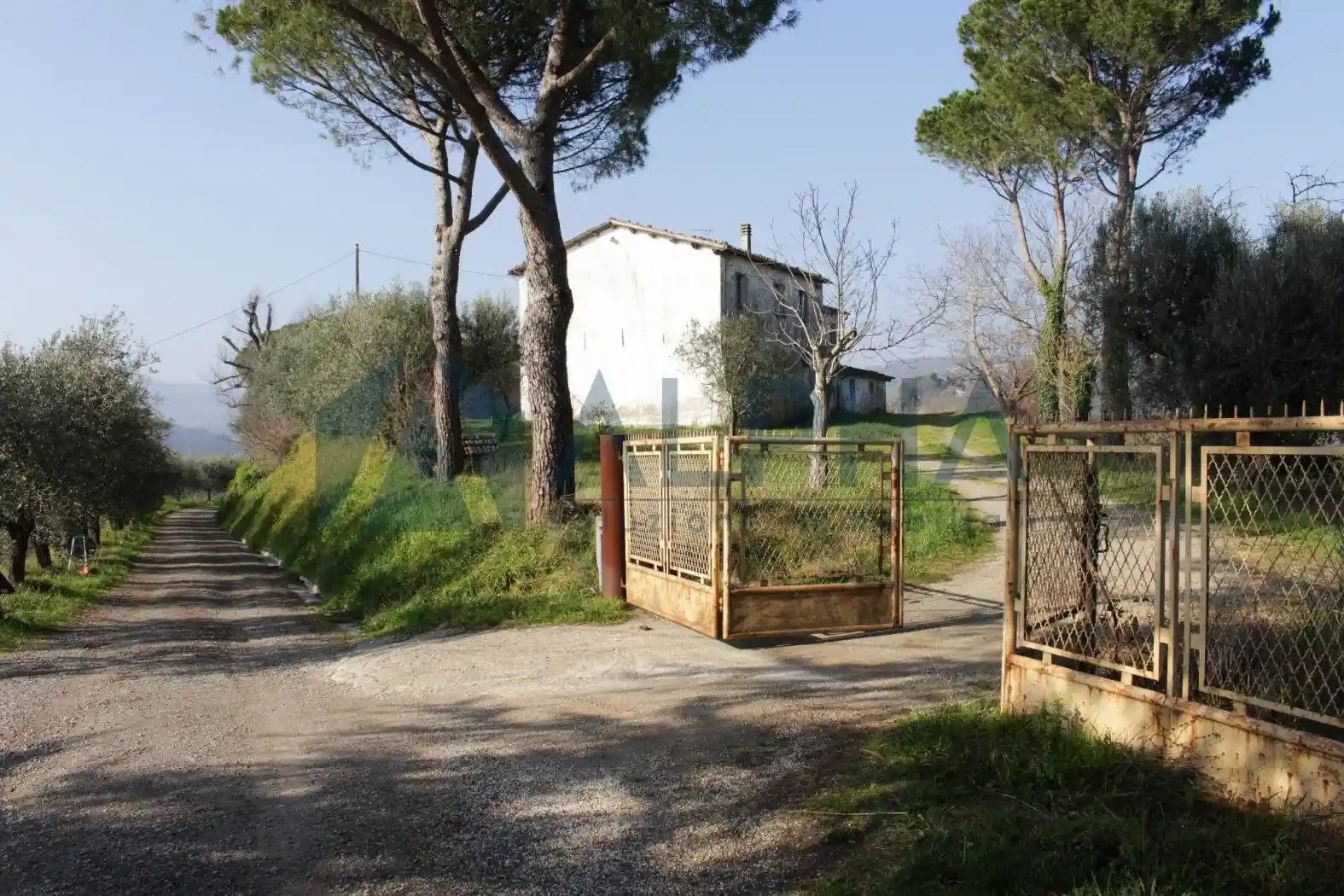 Casale via Montegranello, San Carlo - Roversano, Cesena - foto 2