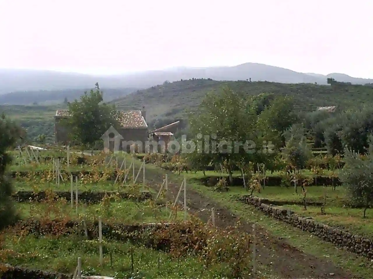 Palazzo - Edificio - foto 5