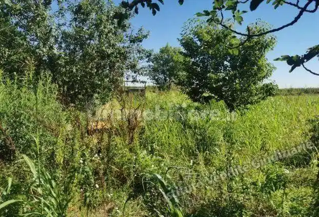 Palazzo - Stabile - foto 2