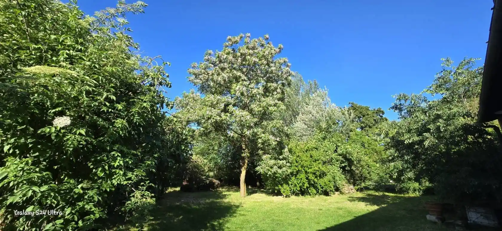 Casa indipendente in vendita a Firenze