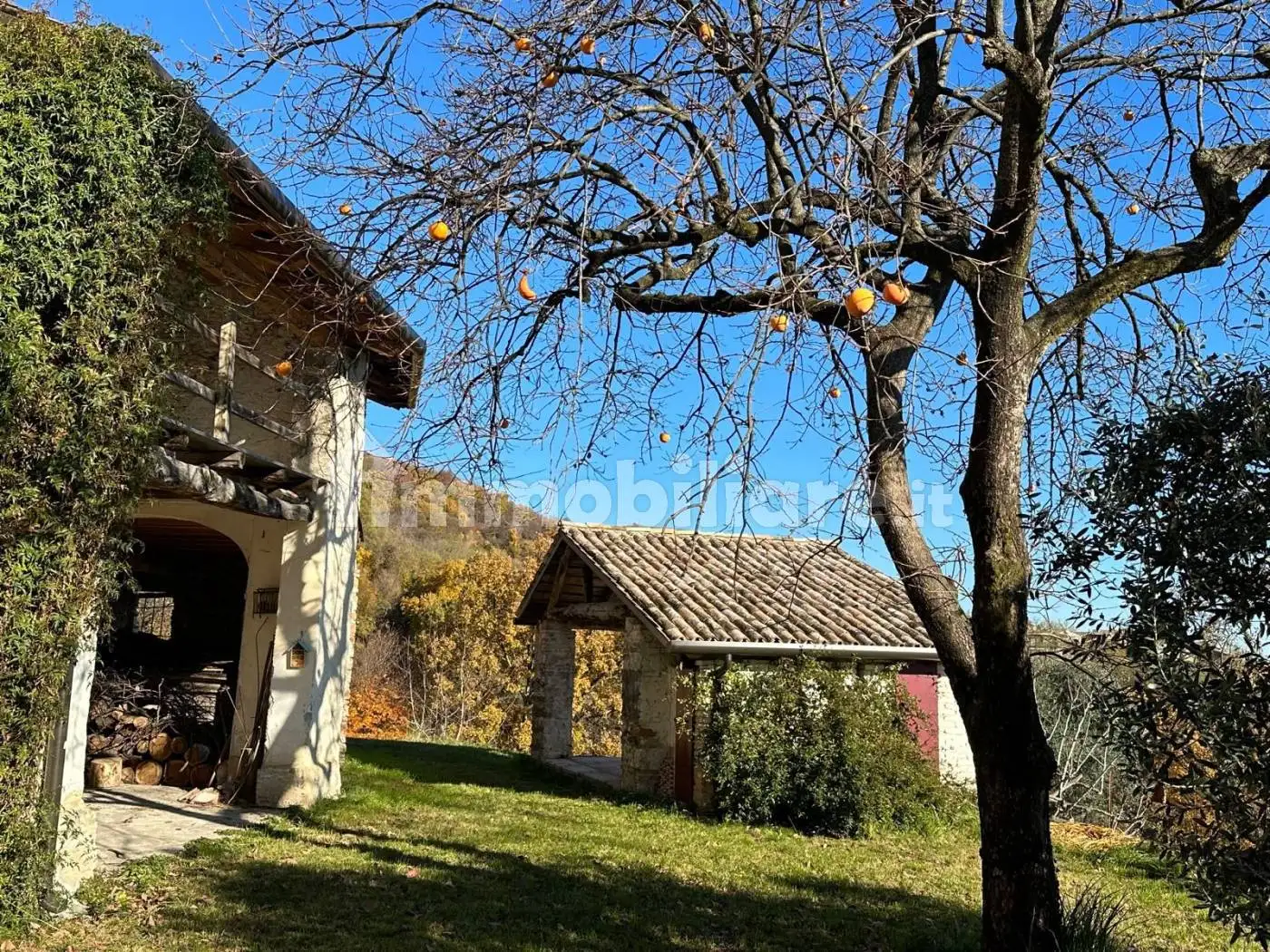 Rustico, da ristrutturare, 28000 m², Virago, Cavaso del Tomba - foto 3