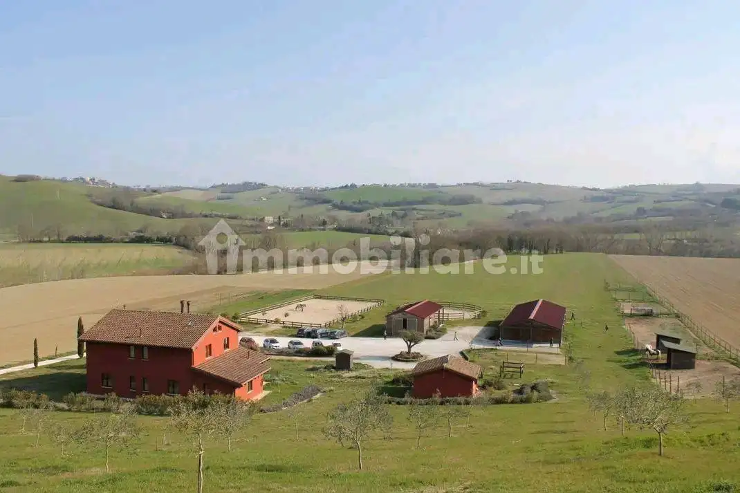 Rustico - Casale in affitto a Montegranaro