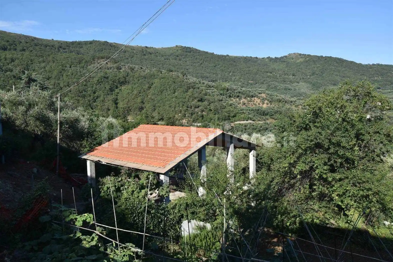 Appartamento piano terra, Pantasina, Vasia - foto 3