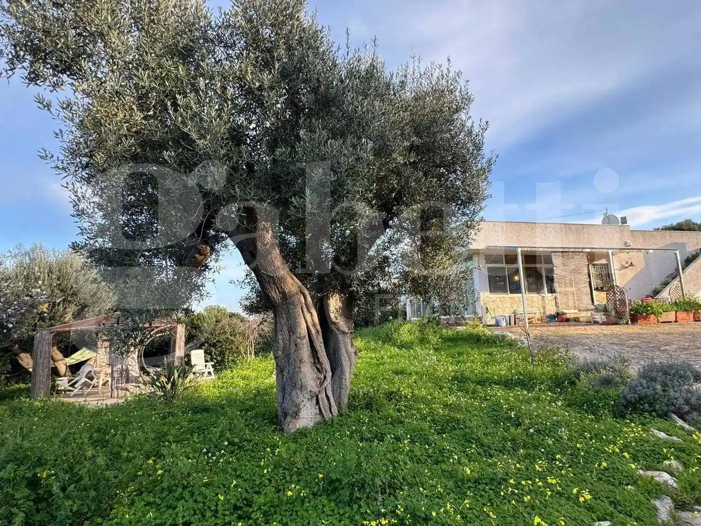 Villa in vendita a Polignano a Mare