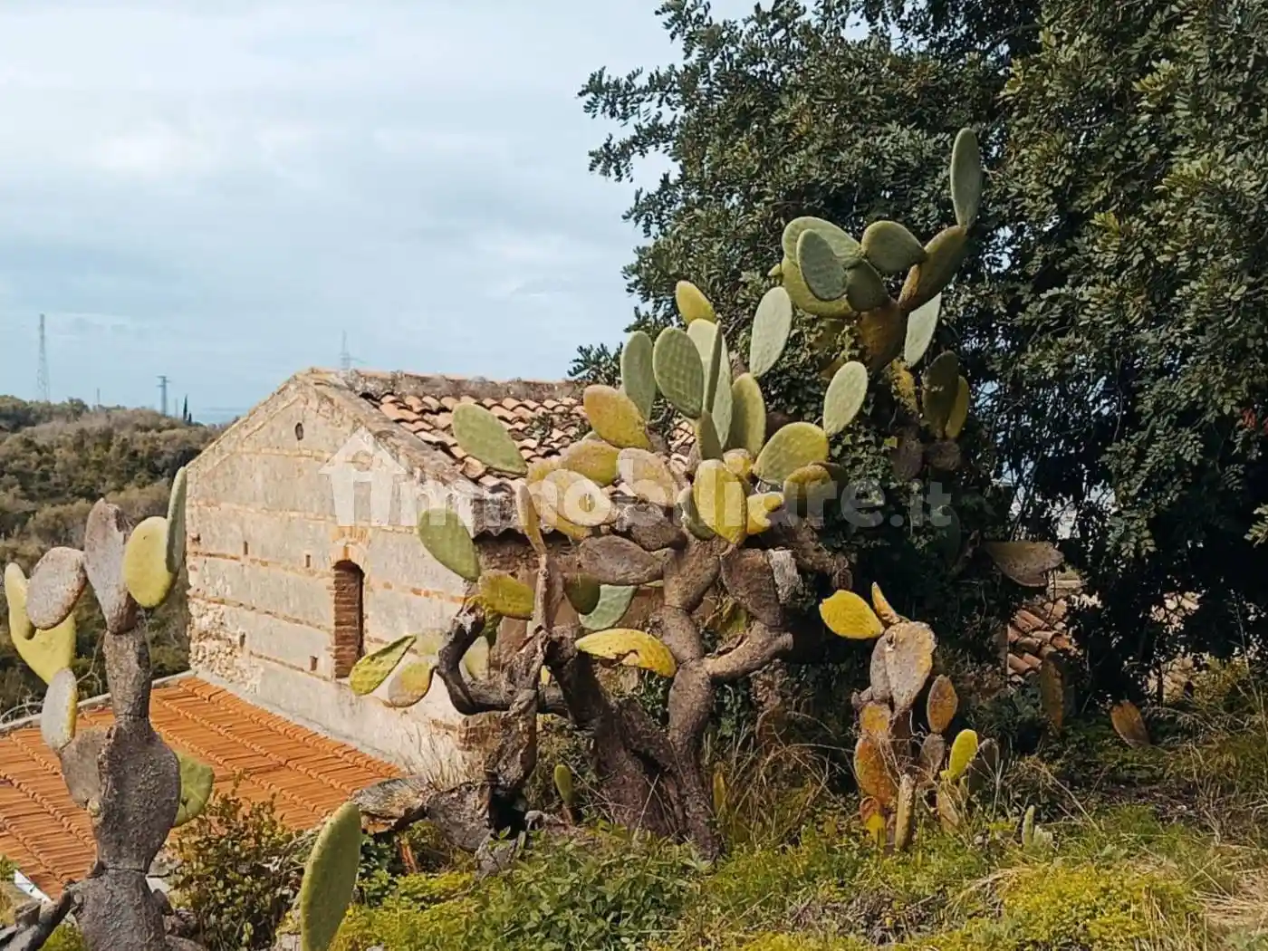 Rustico - Casale in vendita a Messina