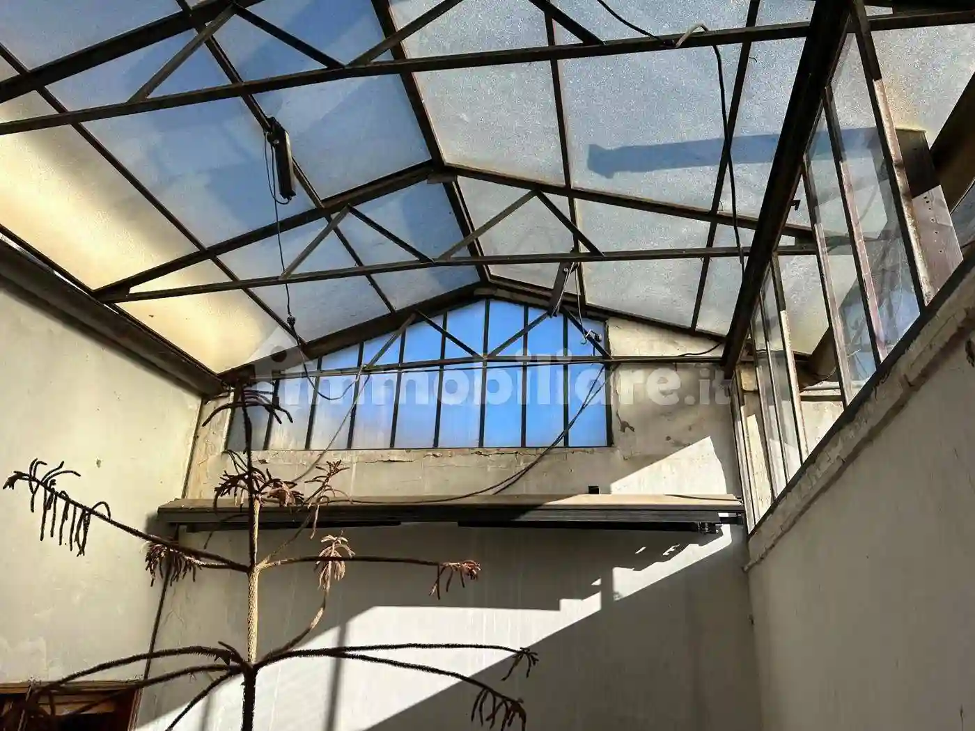 Palazzo - Edificio - foto 2