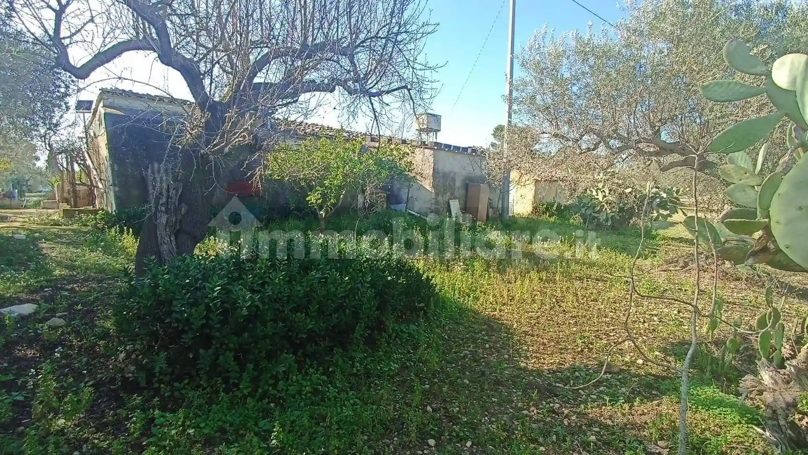 Rustico - Casale - foto 5