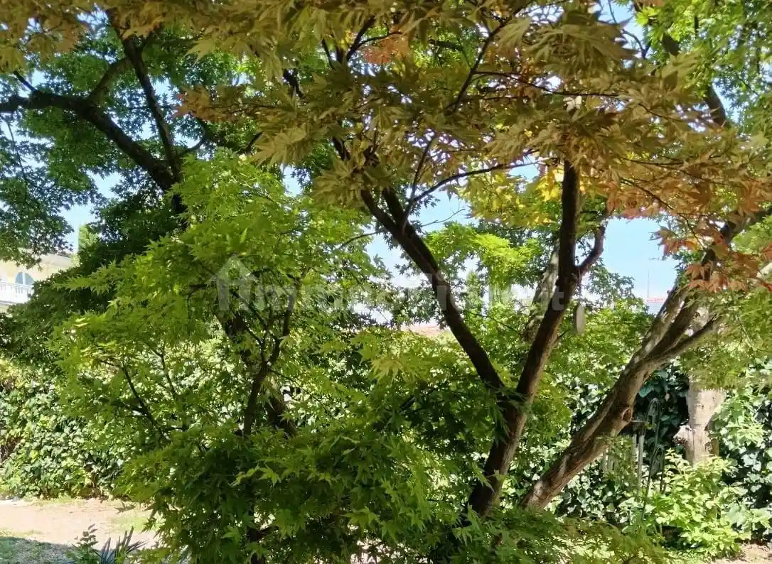 Villa in vendita a Valeggio sul Mincio