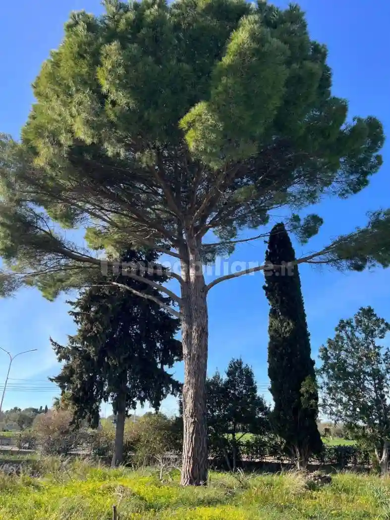 Villa unifamiliare Contrada Trebalate, Cannizzara, Modica - foto 4