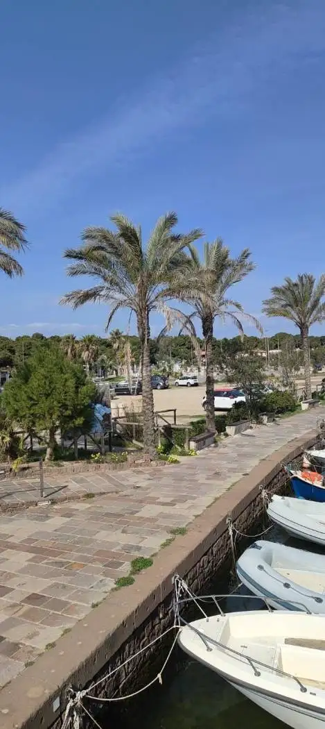 Rustico - Casale in vendita a Mallare