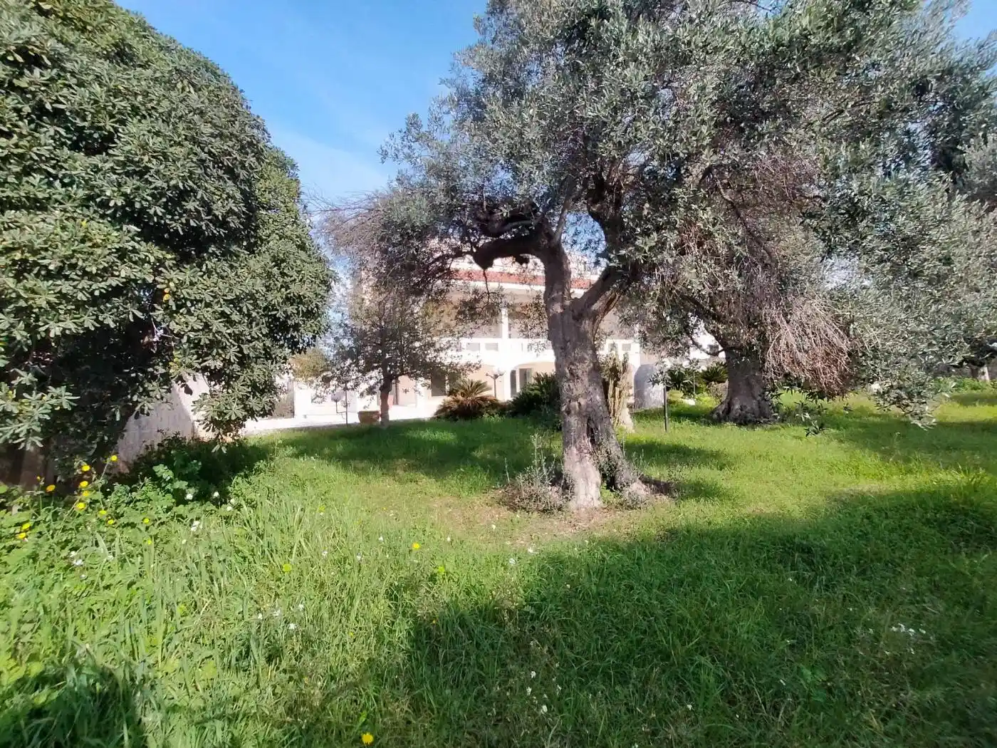 Villa in vendita a Conversano