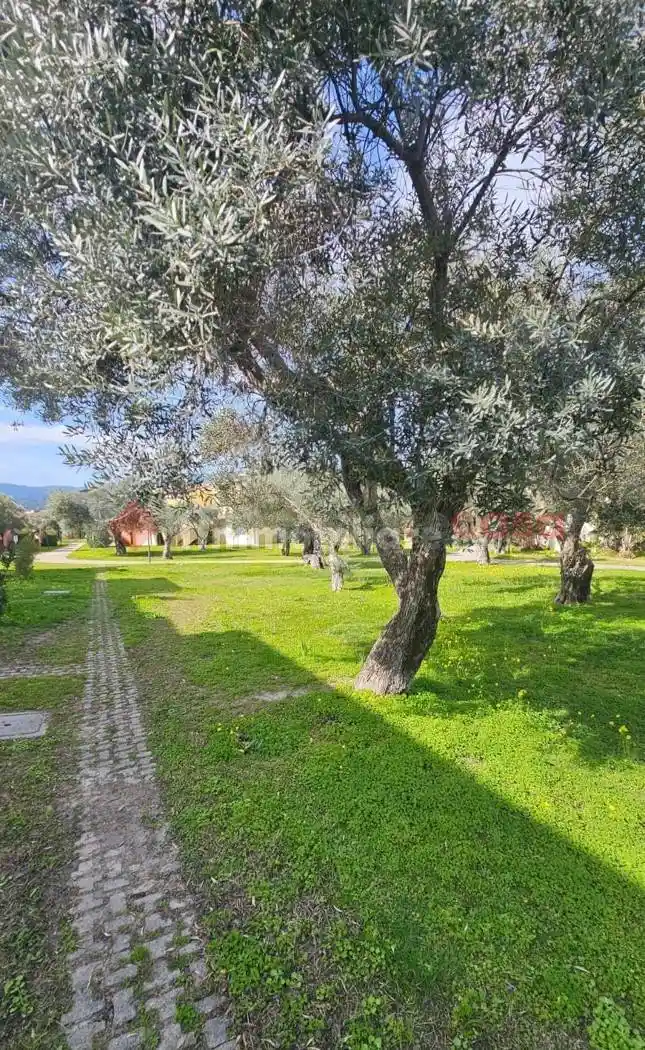 Appartamento Villaggio San Andrea, 407, Contrada Taverna, Sant'Andrea Apostolo dello Ionio - foto 4