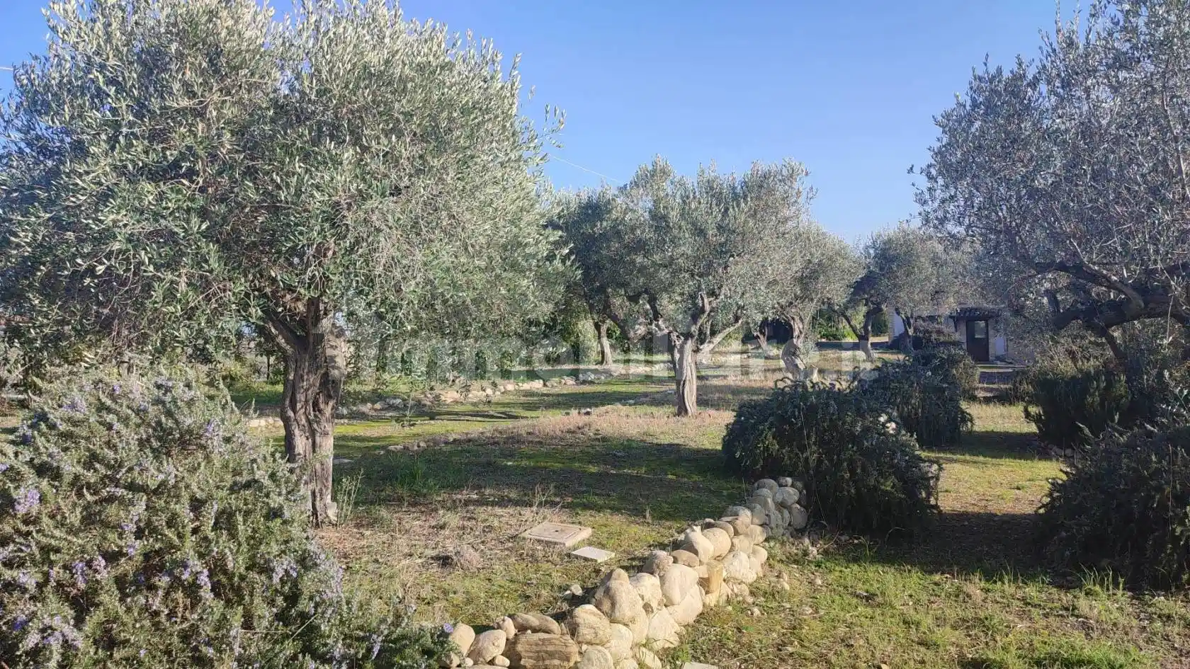 Casa colonica Strada delle Terme, Città Sant'Angelo - foto 4