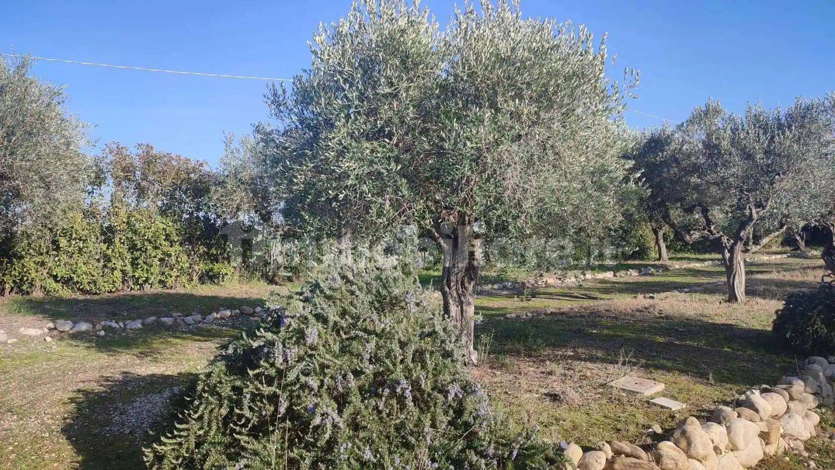 Casa colonica Strada delle Terme, Città Sant'Angelo - foto 5