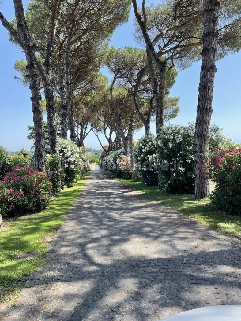 Villa in affitto a Roma