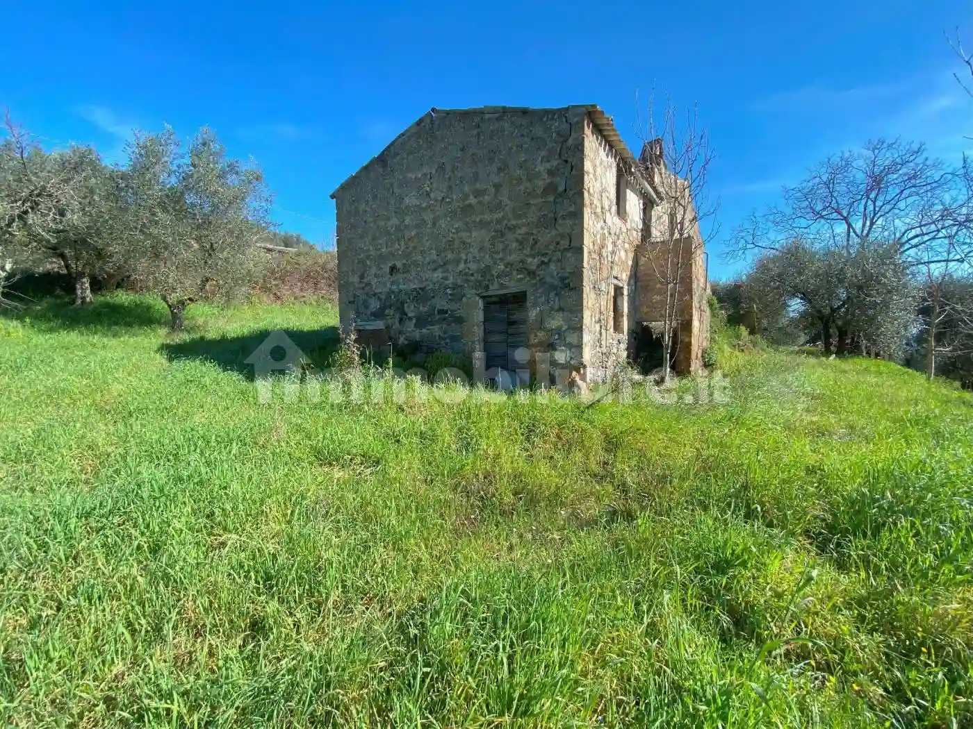 Rustico - Casale - foto 4