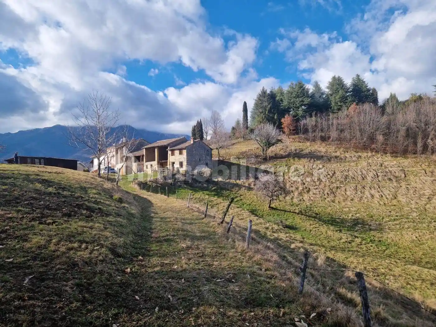 Cascina via Ugo Bassi, Fusere Tuna, Pieve del Grappa - foto 2