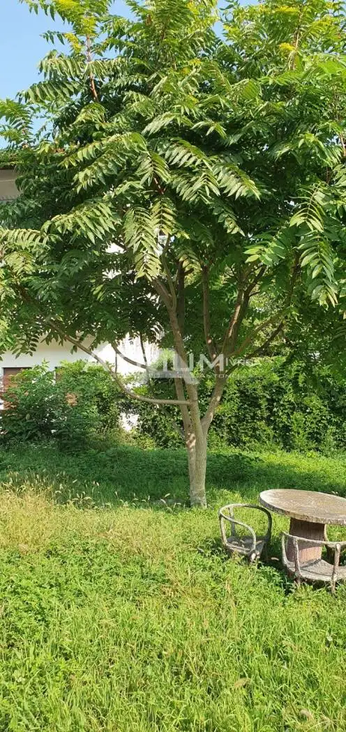 Casale, da ristrutturare, 235 m², Centro, Caravino - foto 3