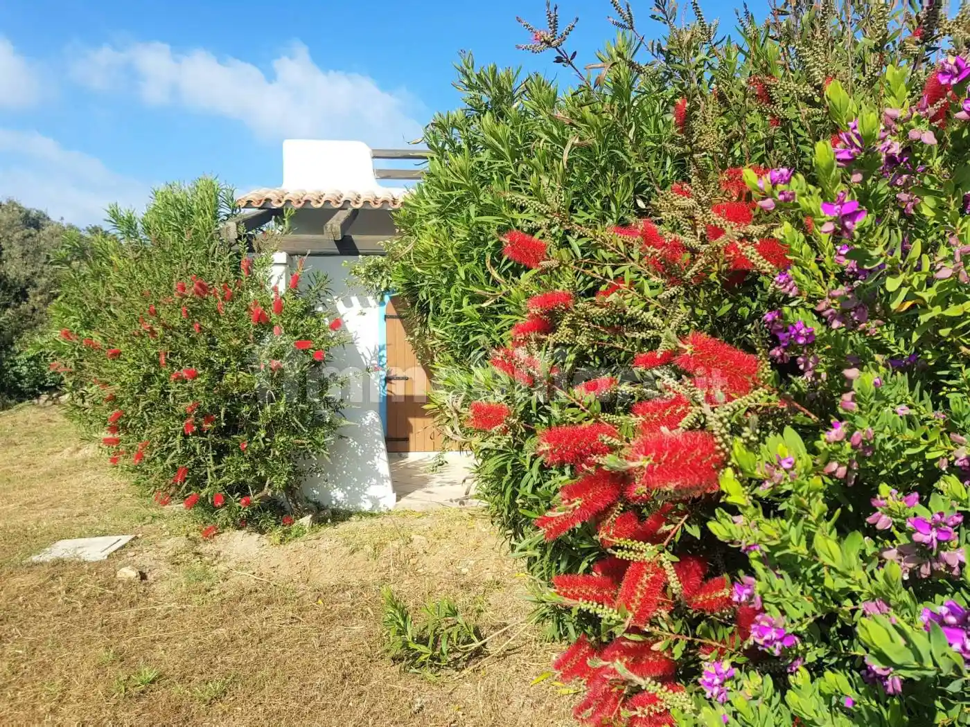 Villa in vendita a Santa Teresa Gallura