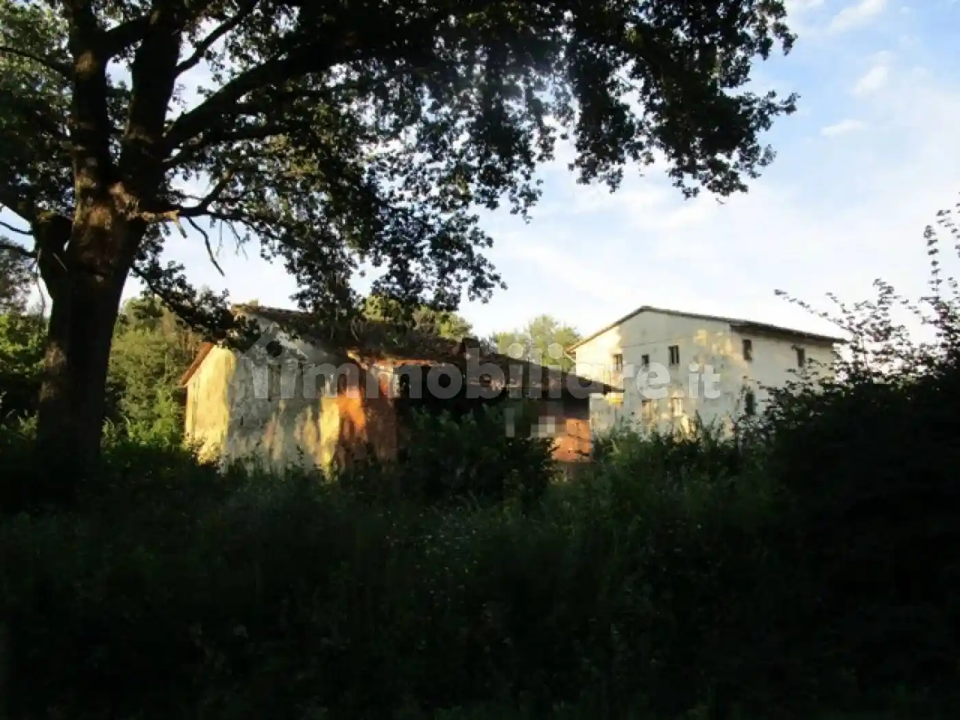 Rustico - Casale in vendita a Terranuova Bracciolini