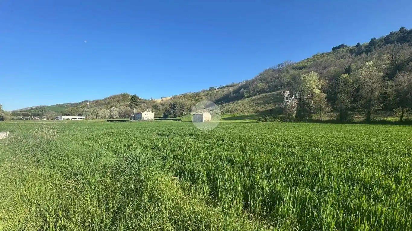 Rustico - Casale in vendita a Ripatransone