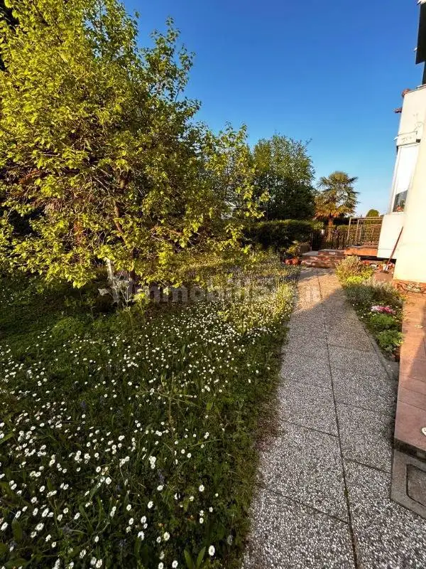 Appartamento in affitto a Dolo