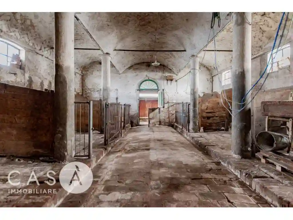 Rustico - Casale - foto 3