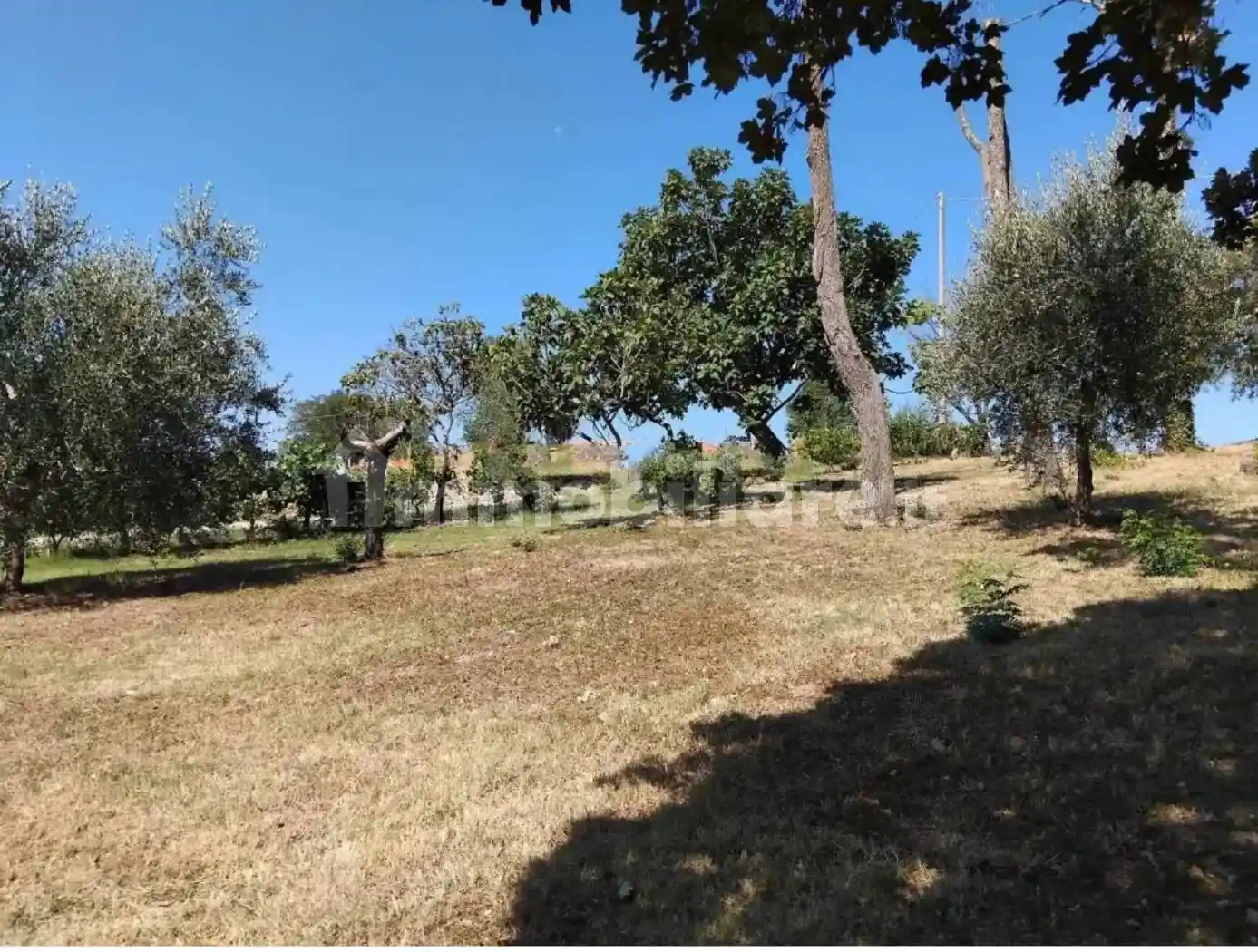 Terratetto unifamiliare via Vergineto Campagna, Terre Roveresche - foto 2