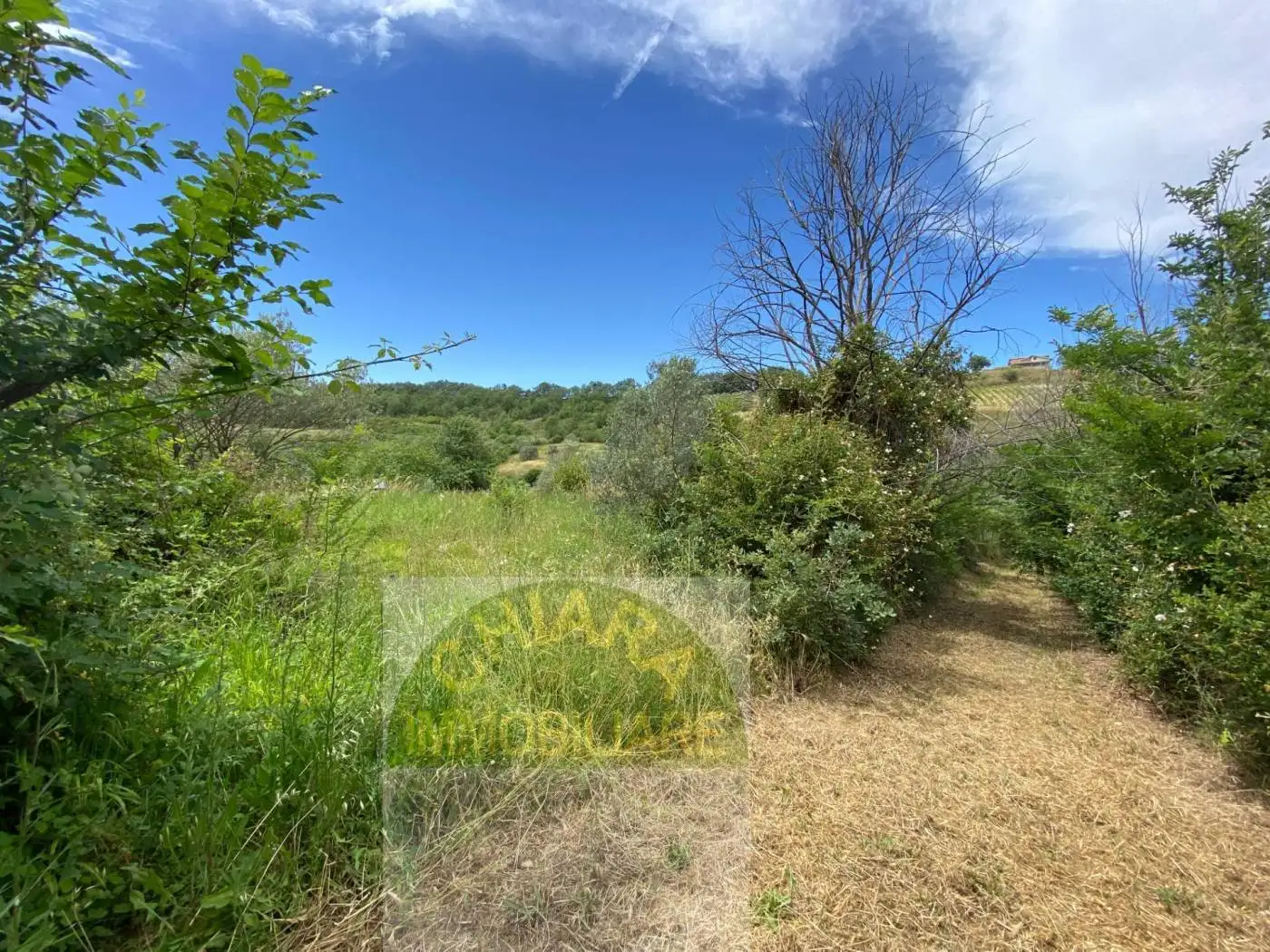 Rustico - Casale in vendita a Cupello