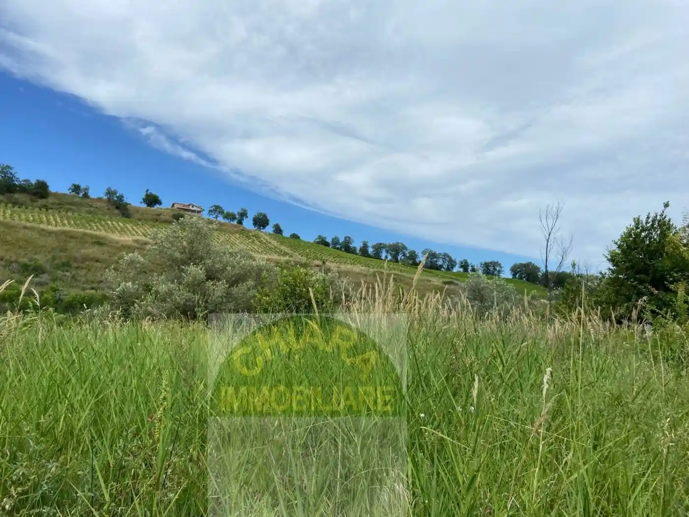 Rustico Strada statale Istonia snc, Cupello - foto 4