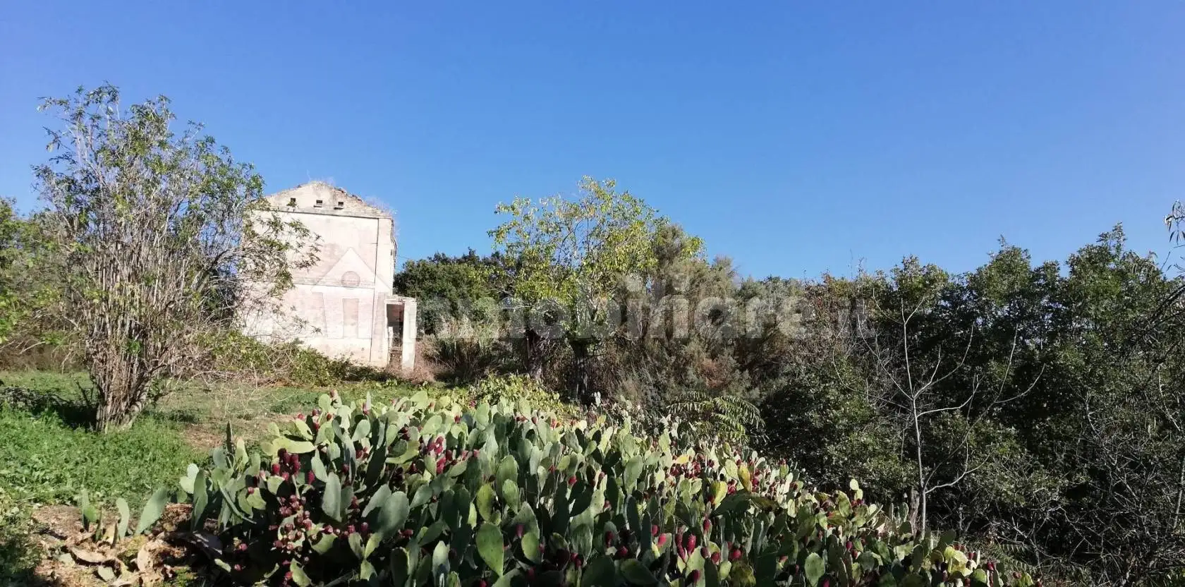 Rustico - Casale in vendita a Monteodorisio