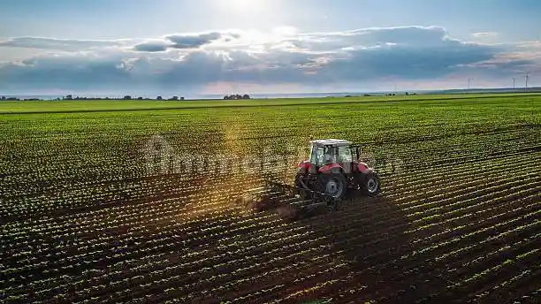 Casale via Lungo Argine, Giarre, Abano Terme - foto 3