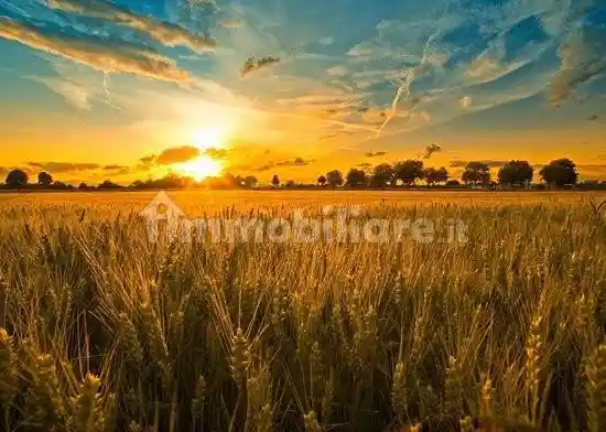 Casale via Lungo Argine, Giarre, Abano Terme - foto 4