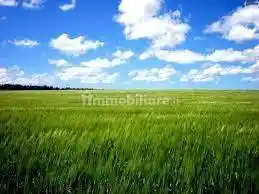 Casale via Lungo Argine, Giarre, Abano Terme - foto 5