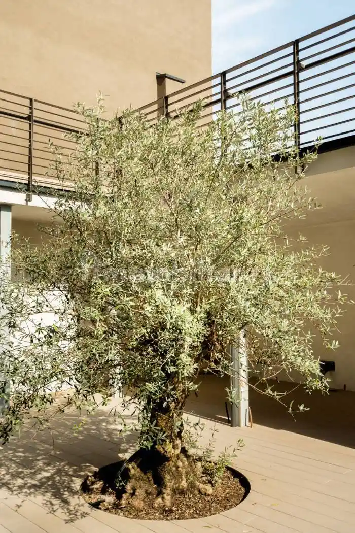 Appartamento via Luca Signorelli 6, Paolo Sarpi, Milano - foto 3