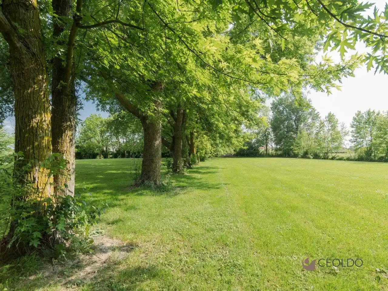 Villa in vendita a Fiesso d'Artico