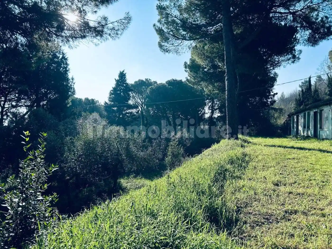 Rustico Strada Panoramica Ardizio, Colle Ardizio, Pesaro - foto 3