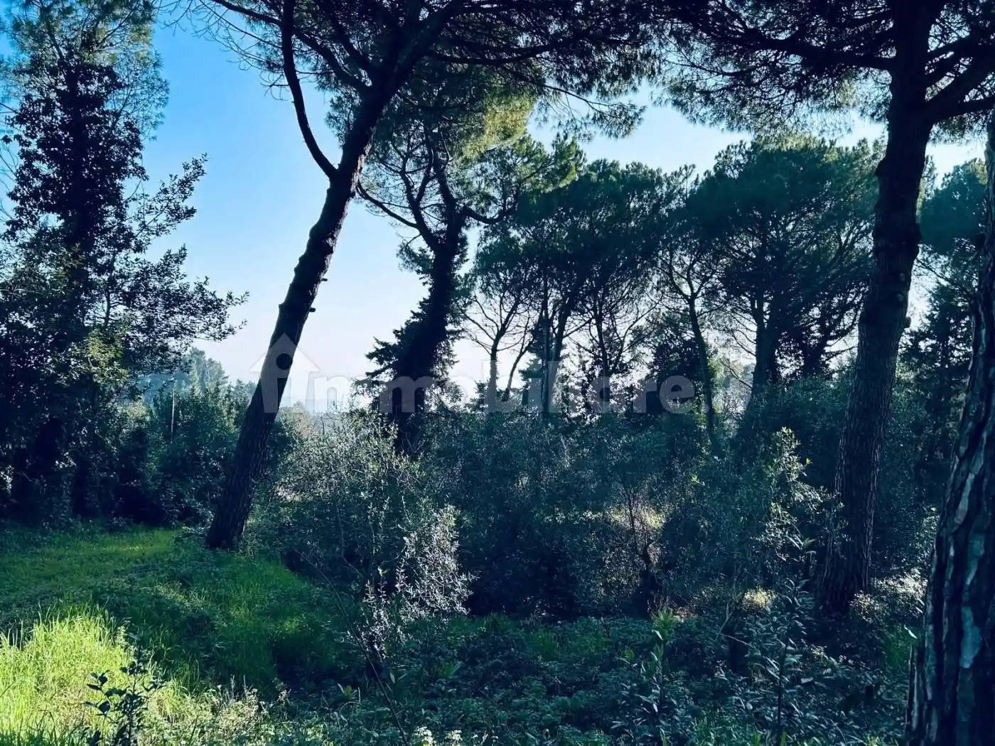 Rustico Strada Panoramica Ardizio, Colle Ardizio, Pesaro - foto 4