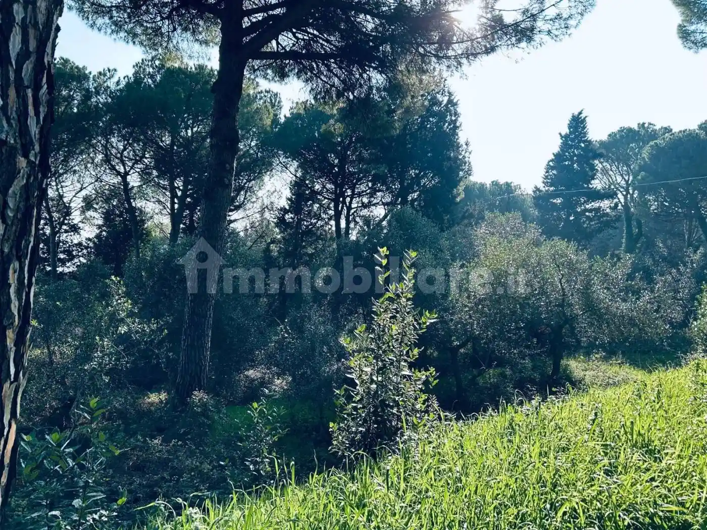 Rustico Strada Panoramica Ardizio, Colle Ardizio, Pesaro - foto 5