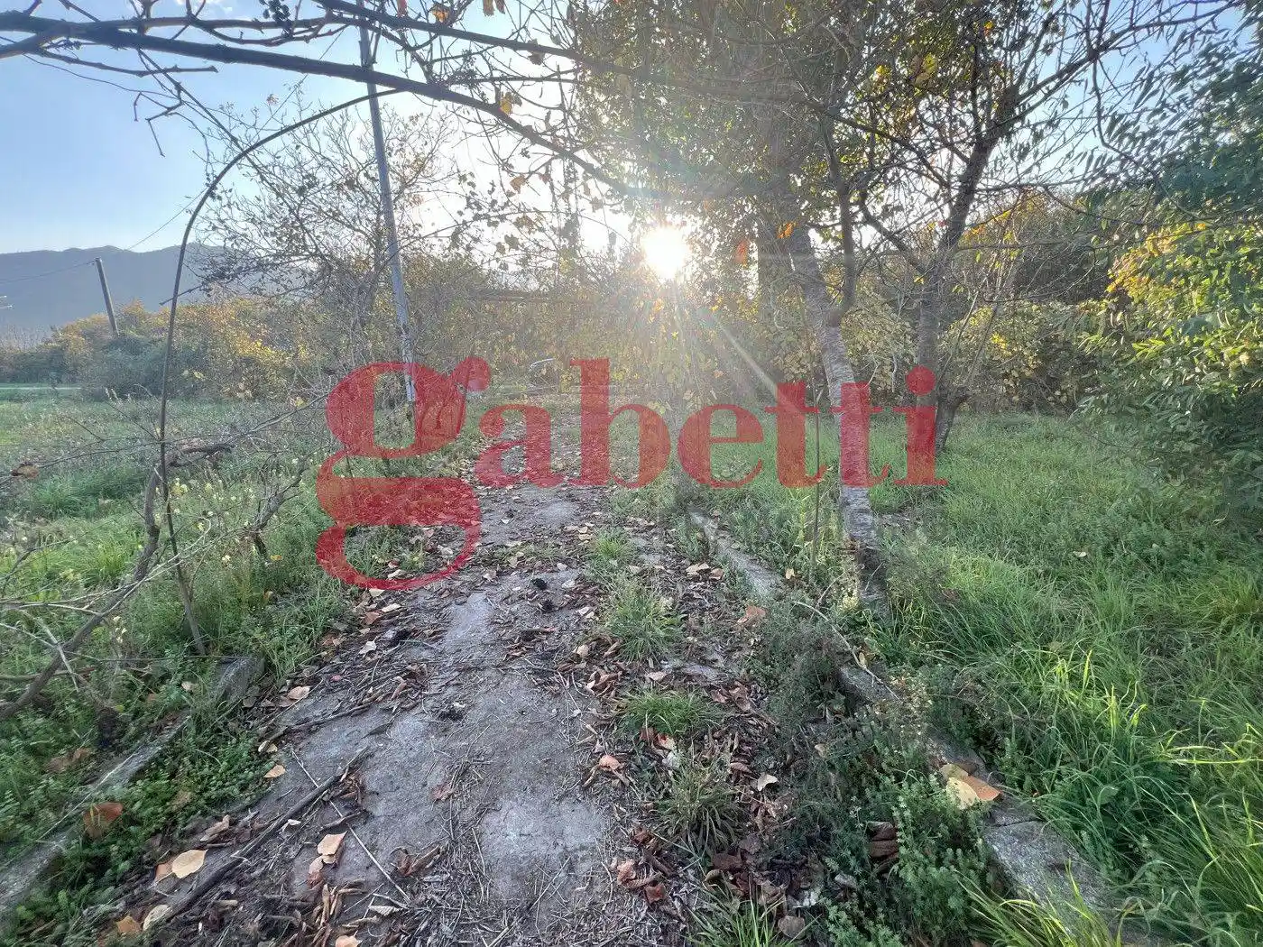 Terratetto unifamiliare via Madonnella di Sesto, s/c, Venafro - foto 4