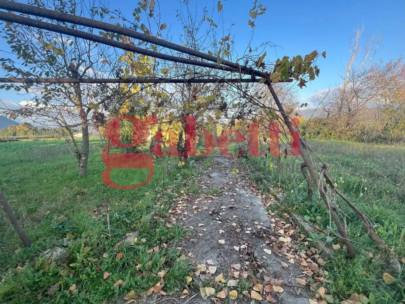 Terratetto unifamiliare via Madonnella di Sesto, s/c, Venafro - foto 5