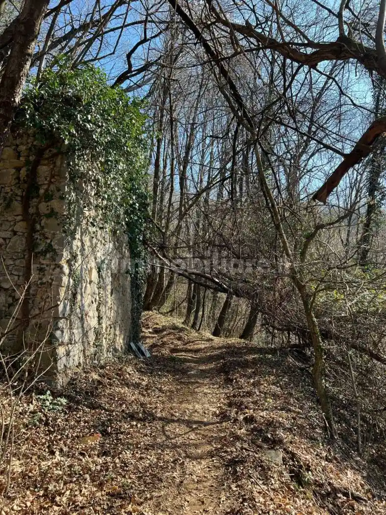 Rustico - Casale in vendita a Cene