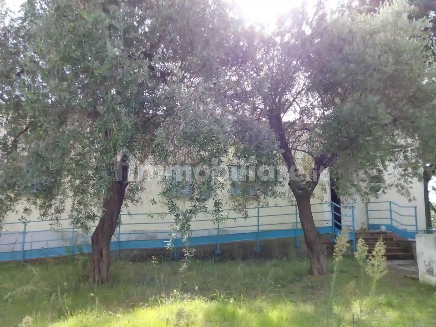 Palazzo - Edificio - foto 4