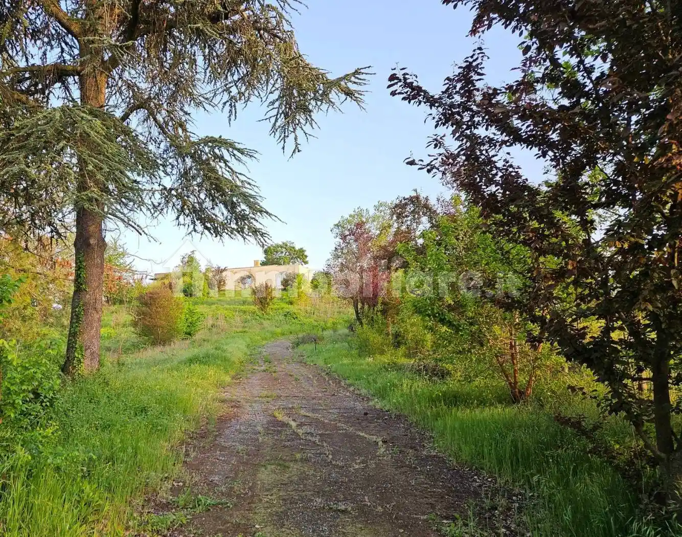 Villa unifamiliare regione Montalbano, San Germano, Casale Monferrato - foto 3