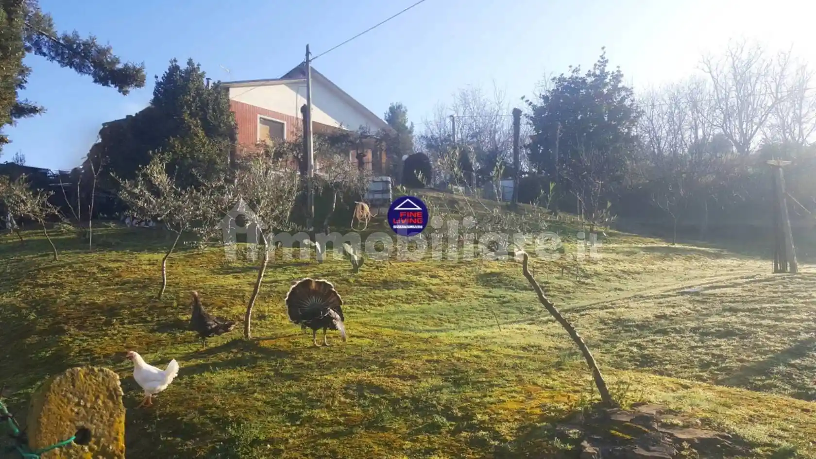 Villa in vendita a Montelabbate