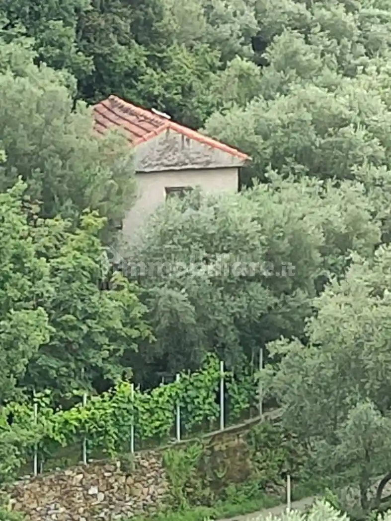 Rustico - Casale in vendita a Noli