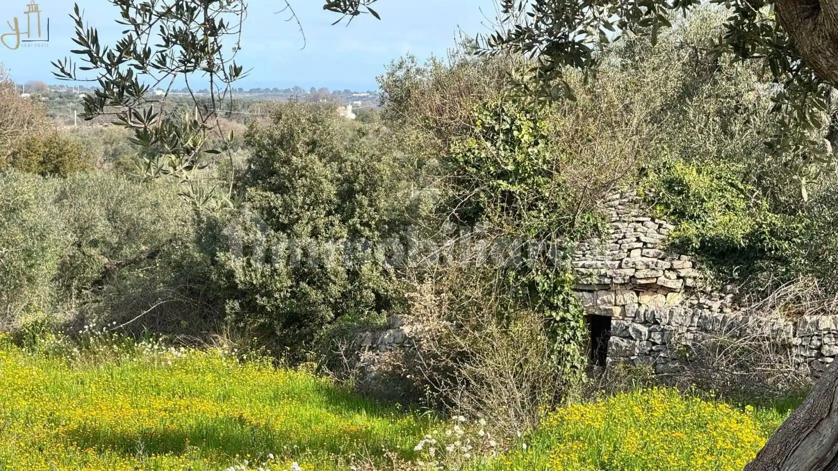 Villa in vendita a Polignano a Mare