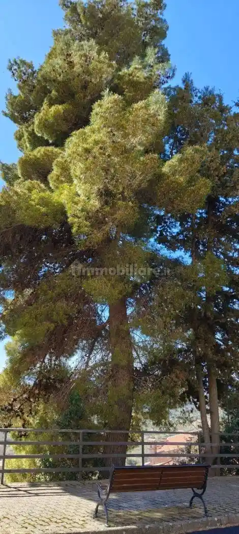 Villa unifamiliare viale John Fitzgerald Kennedy 2, Santa Domenica Talao - foto 4