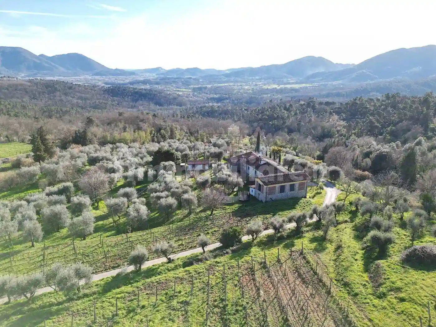 Rustico - Casale - foto 5