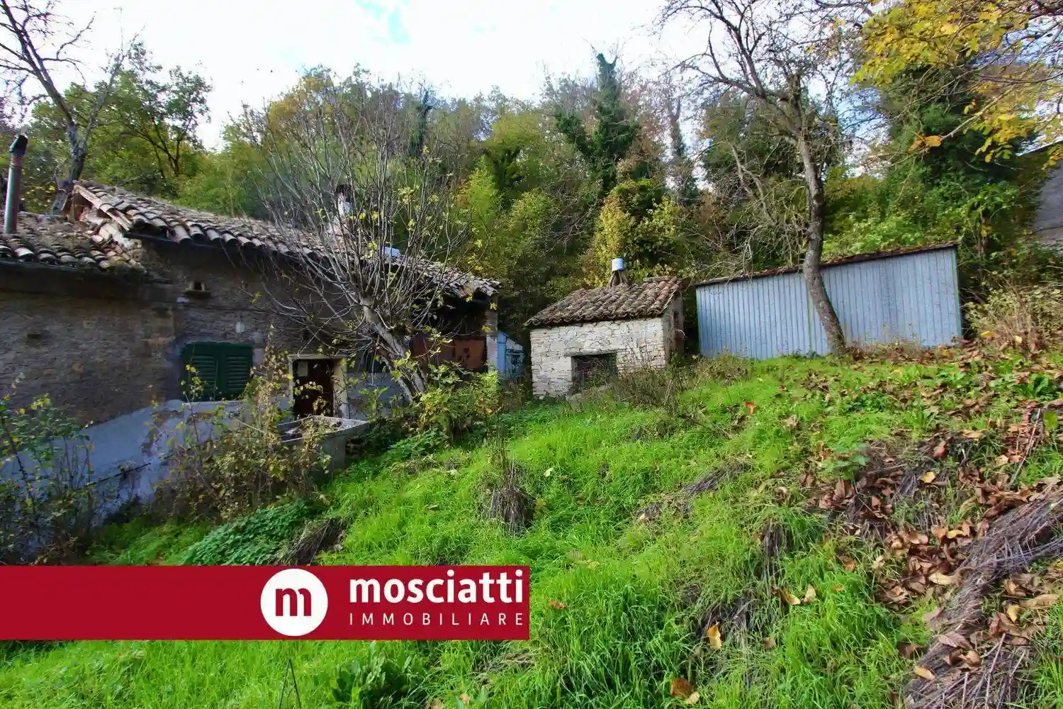 Rustico - Casale - foto 4
